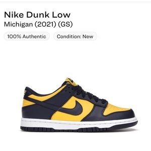 Nike Michigan low dunks